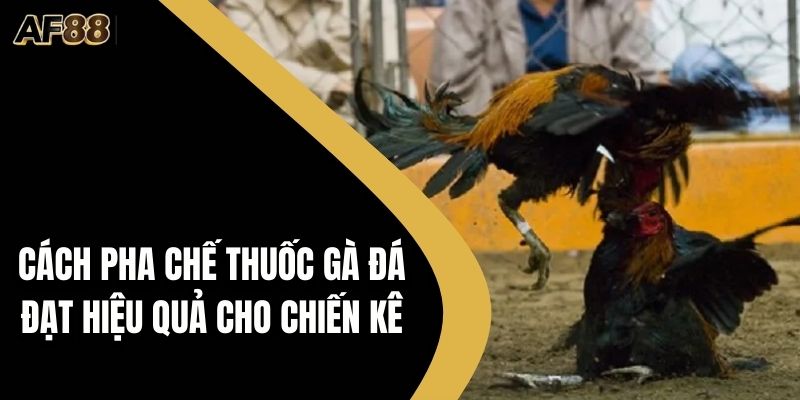 Cách pha chế thuốc gà đá
